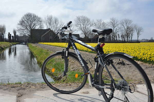 Cycle tour of the Bollenstreek, Haarlem-Leiden Canal, Noordwijkerhout 