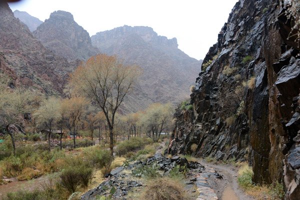 AZ Jan13 1018.jpg