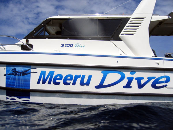 Meeru Dive offers speed boat excursions a couple of times a week to Manta Point near Male'