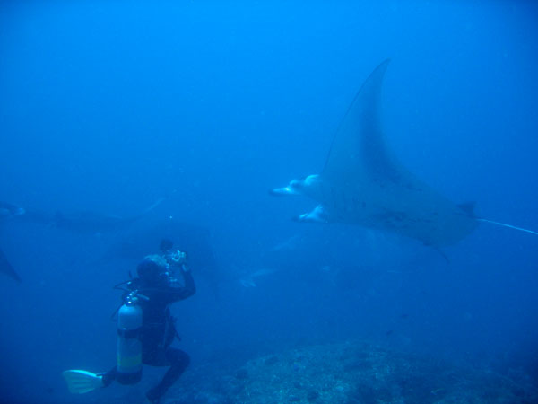 One of the Swiss diving instructors from Meeru photographing the mantas