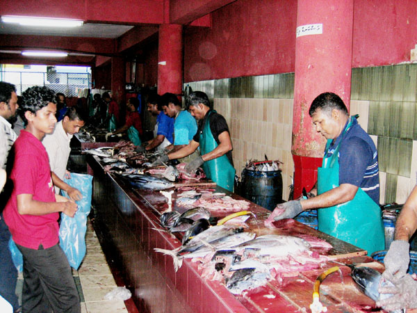 Part of the fish market houses a line of fish cleaners