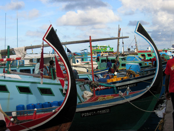 Dhonis at the Fishing Harbor on the north side of Male'