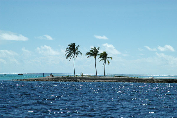 A three palm island in the North Male' Atoll