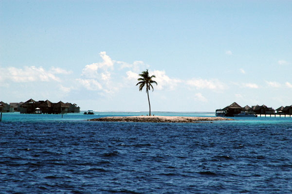 Lone Palm Island Lankanfushi