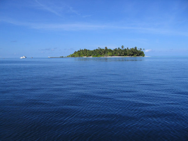 MaldivesNov05 411.JPG