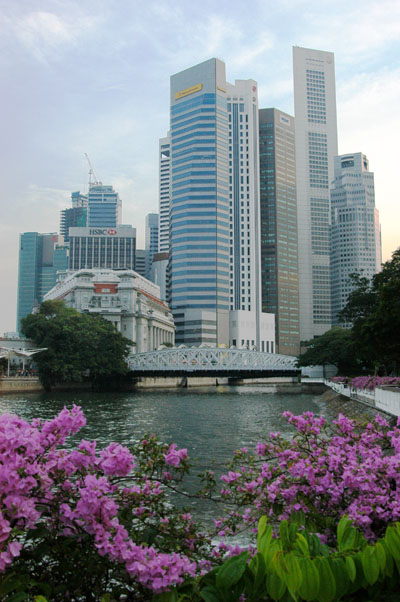 Flowers in bloom along the Singapore River