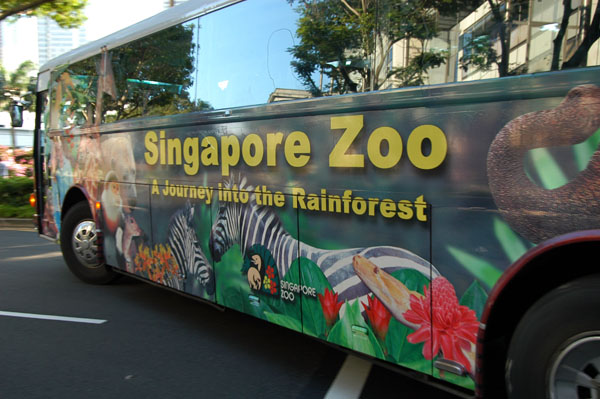 Singapore Zoo ad on a bus