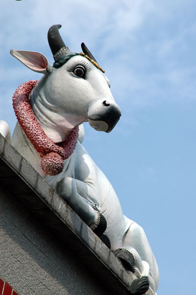 Sacred cow, Sri Veeramakaliamman Temple