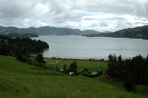 Lyttleton Harbour, NW side of the Banks Peninsula