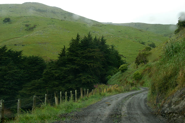 The road shrinks considerably after Port Levy