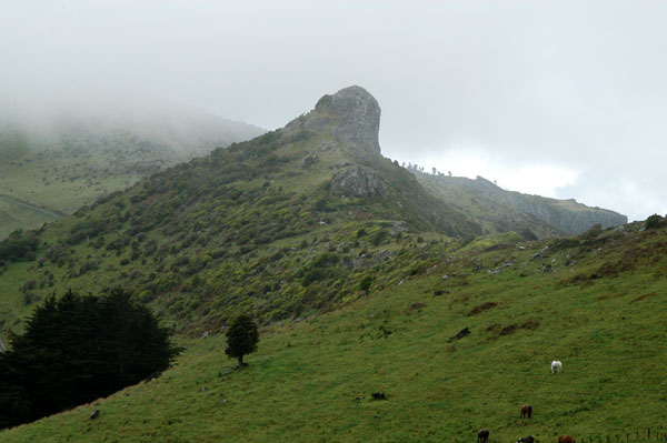 Central highlands, Banks Peninsula