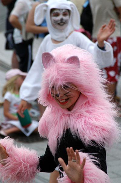 Cat, Christchurch Santa Parade