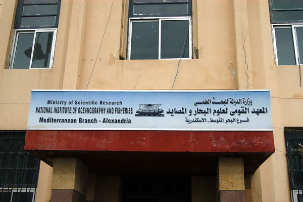 National Institute of Oceanography and Fisheries, Alexandria