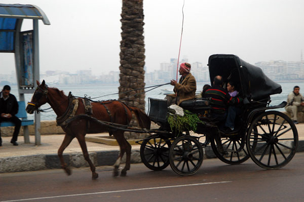 Caleche, a horse-drawn carriage for tourists along the Corniche