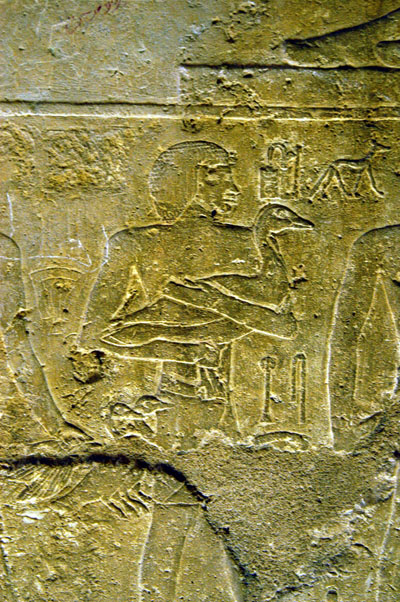 Goose offering, Tomb of Senegemib-Inti