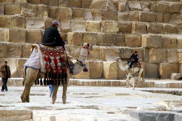 Annoying camel tout lurking at the Pyramids