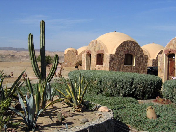 Cactus garden, Shagra Village