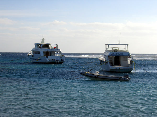 Dive boats for Dolphin House offshore