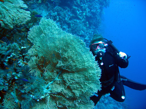 RedSeaJan06 151.JPG