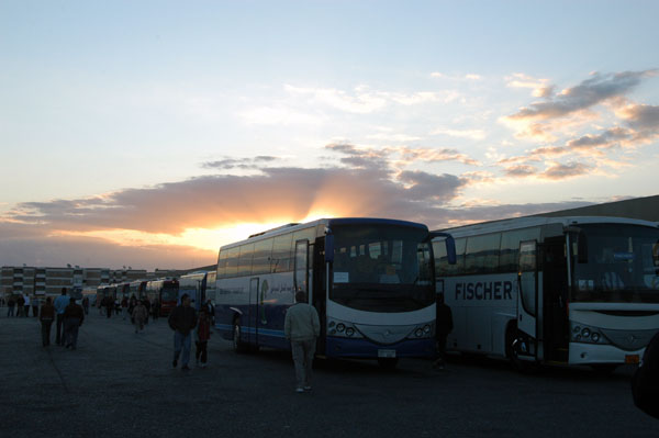Busses waiting for the convoy to start