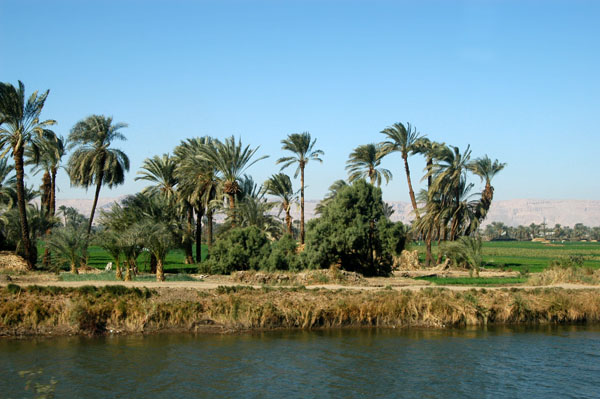 Nile Valley