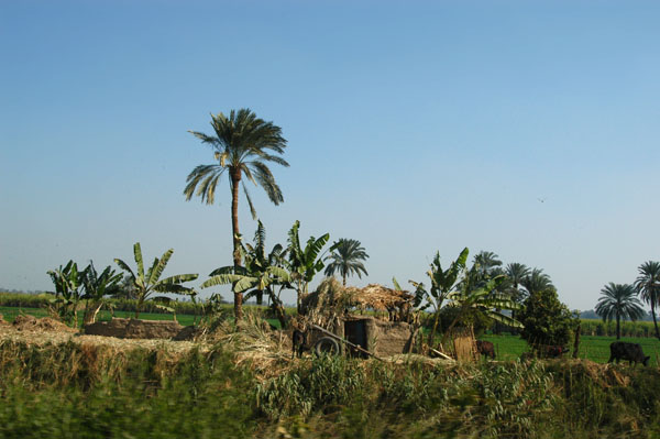 Edge of Luxor