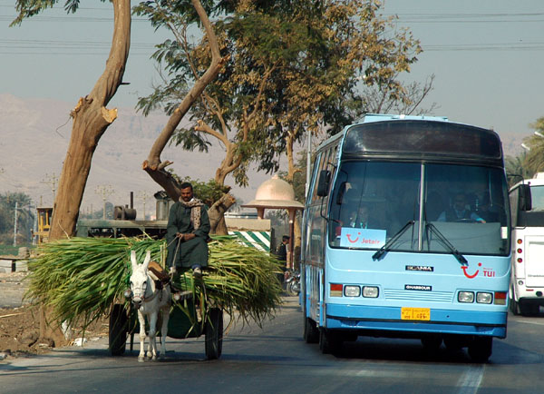 Donkey cart being passed by bus