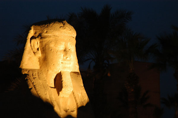 Sphinx, Luxor Temple