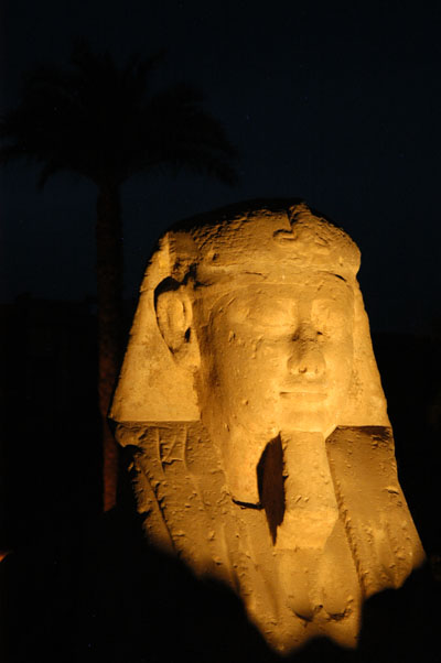 Sphinx, Luxor Temple