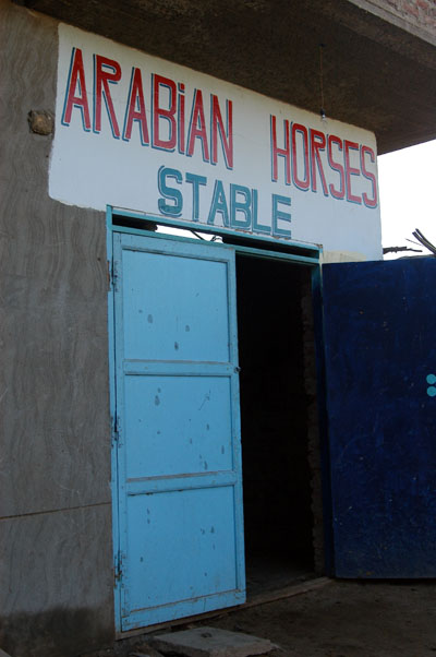 We called Arabian Horses Stable in advance