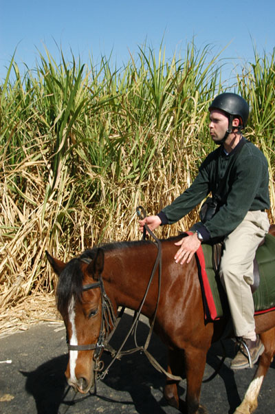 Roy and his horse