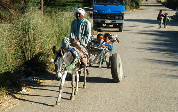 Donkey cart with kids