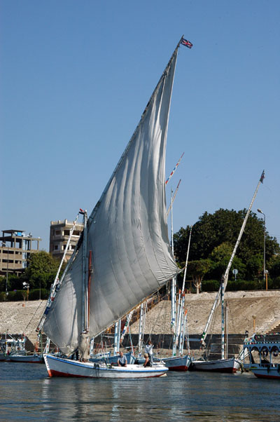 Felucca on the Nile, Luxor