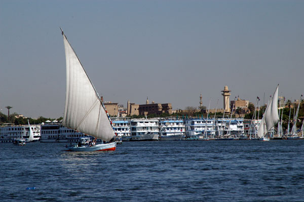 Felucca sailing by the flotilla of cruise ships tied up near Luxor Temple