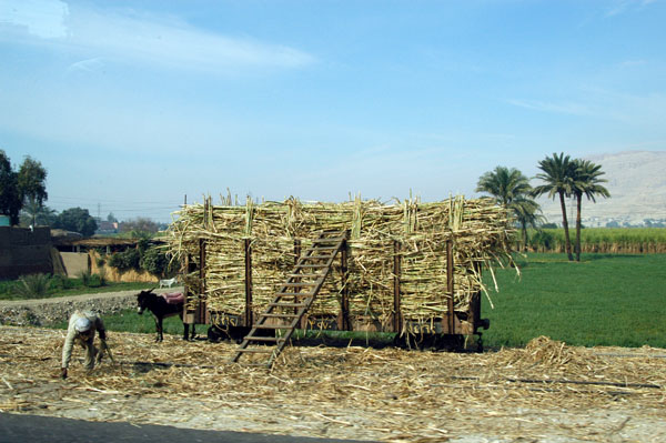 Cane railway car