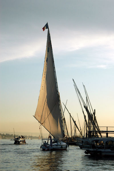 Felucca