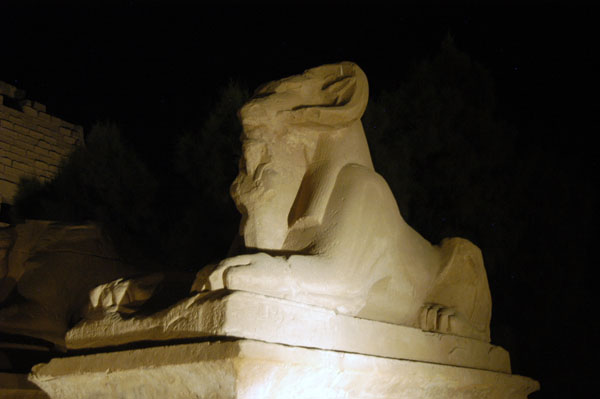 Ram-Headed Sphinx, Karnak Temple