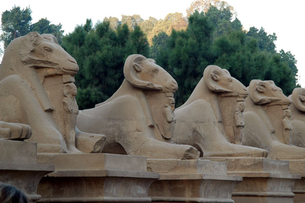 Avenue of the Ram-Headed Sphinxes