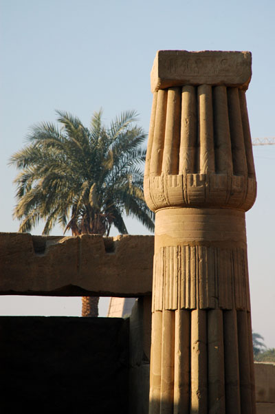 Papyrus Column (floral order)