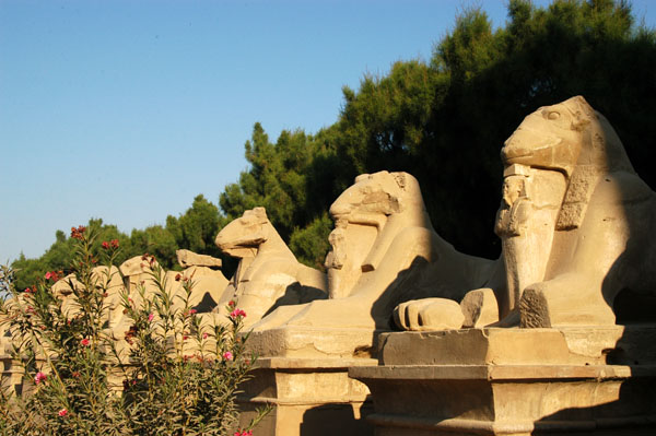 Avenue of the Rams-Headed Sphinxes, Karnak