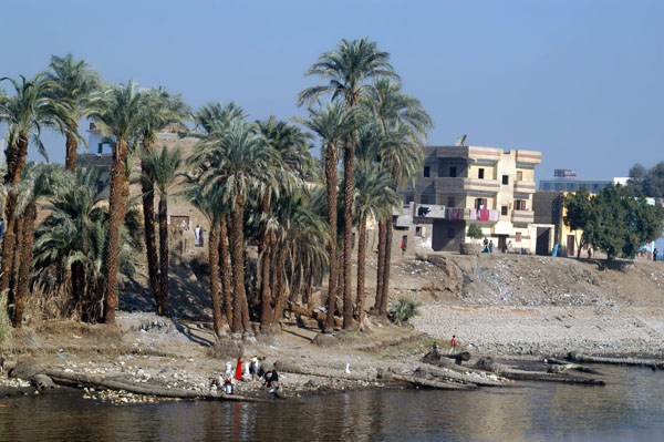 Palm lined Nile