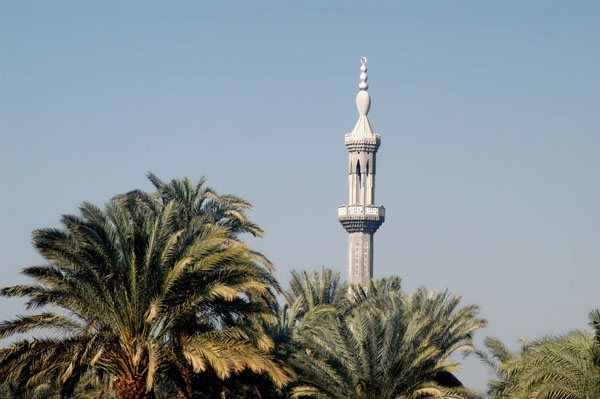 Minaret and palm