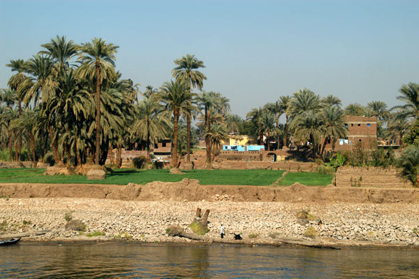 Green fields along the Nile