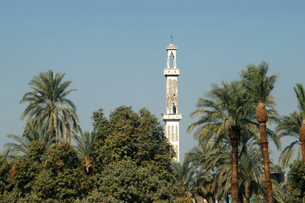 Mosque and palms