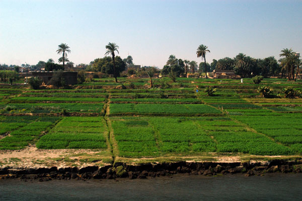 Agriculture along the Nile