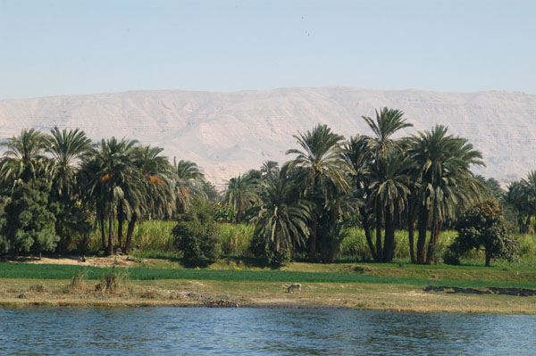 East bank of the Nile