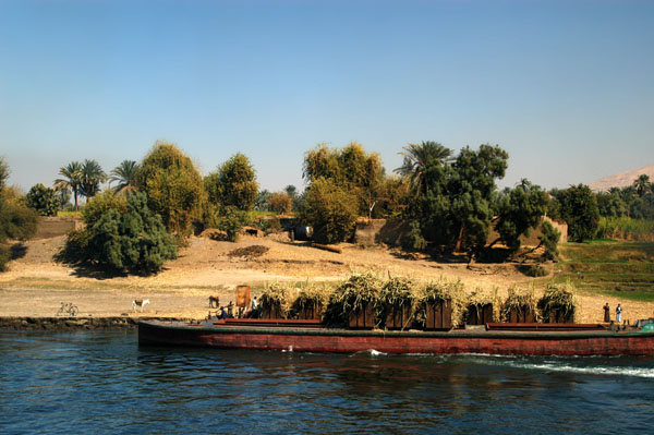 Barge loaded with sugarcane railcars, Nile