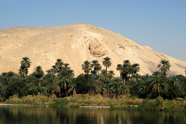 Palms and desert mountain, East Bank