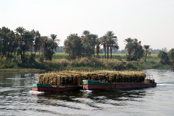 Sugarcane barges on the Nile