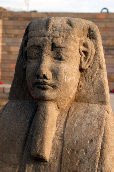 Sphinx near the temple at Edfu